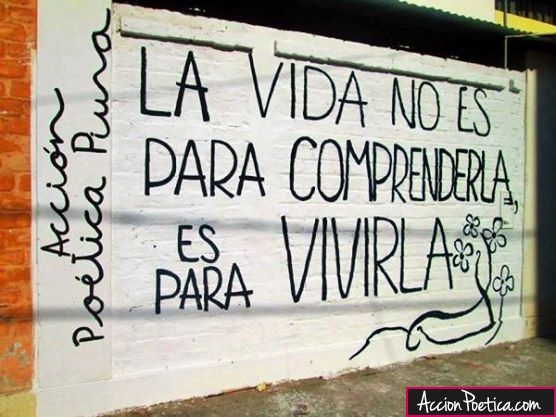 La vida no es para comprenderla es para vivirla