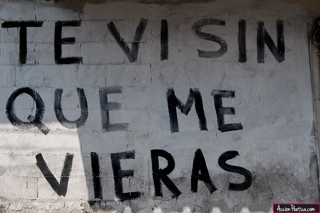 Te vi sin que me vieras