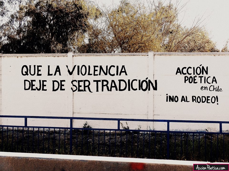 Que la violencia deje de ser tradición