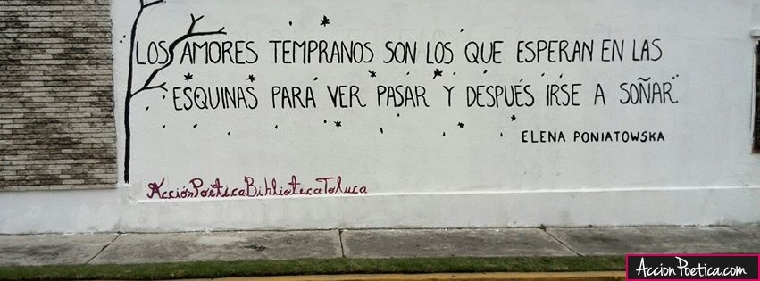 Los amores tempranos son los que esperan en las esquinas para ver pasar y  después irse a soñar