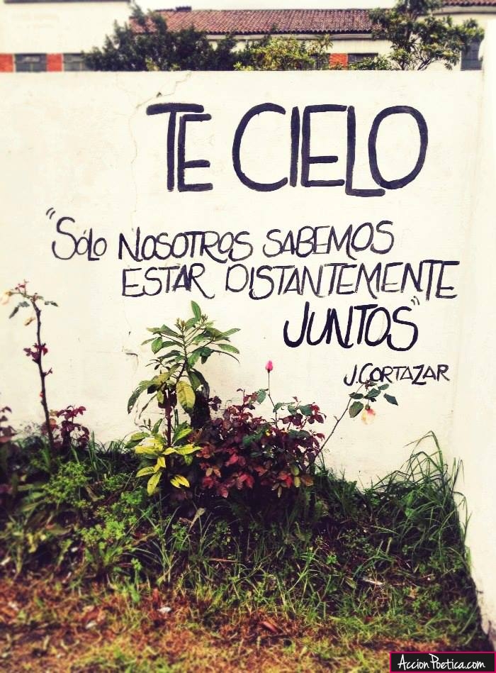 Te cielo. Solo nosotros sabemos estar distantemente juntos