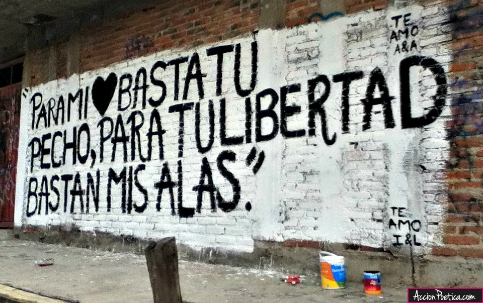Para mi corazón basta tu pecho, para tu libertad bastan mis alas