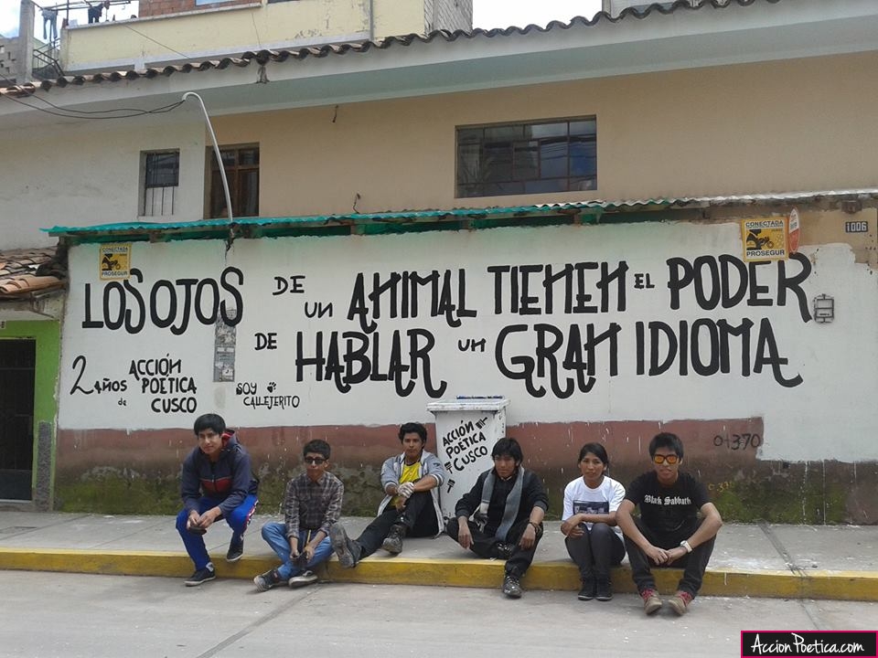 Los ojos de un animal tienen el poder de hablar un gran idioma