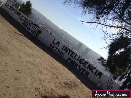 La tontería se coloca siempre en primera fila para ser vista... la inteligencia detrás, para ver