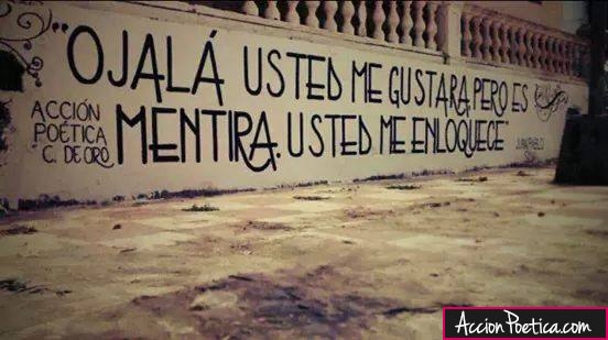 Ojalá usted me gustara, pero es mentira. Usted me enloquece