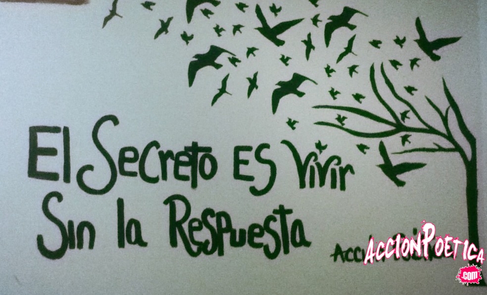 Acción poética en mi habitación